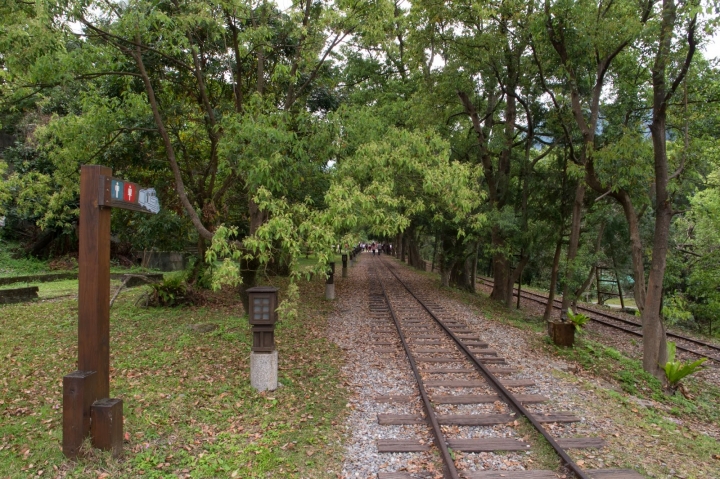 [遊] 花蓮・台東小旅行(林田山.伯朗大道.台東森林公園)