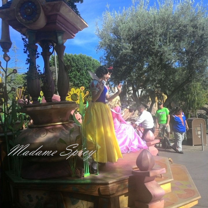 每個大人的心中都住著一個小男(女)孩—加州迪士尼樂園Disneyland的夢幻(2015)