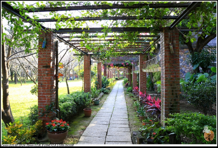 [桃園]親子、寵物餐廳-老爸的後花園  by蛋拔