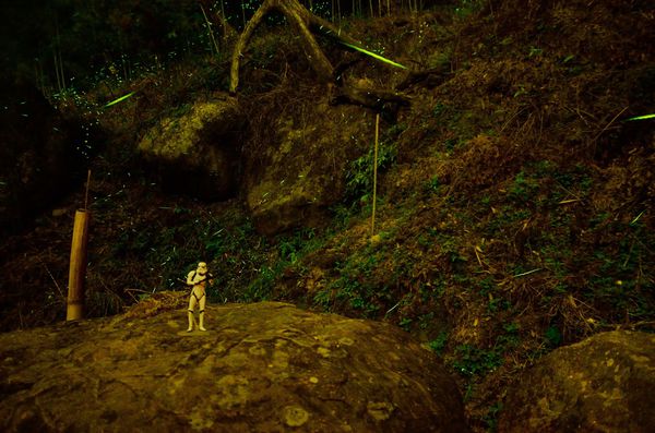 [強尼帶球 遊記] 台南 關子嶺 螢火蟲的綠光閃爍 與 火山碧雲寺夜景