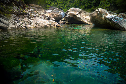 [ 重新開放 ] 陽光灑下閃耀清澈的溪水，現在僅能步行進入的花蓮"慕谷慕魚"