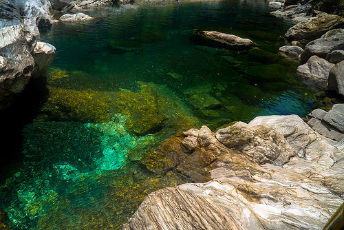 [ 重新開放 ] 陽光灑下閃耀清澈的溪水，現在僅能步行進入的花蓮"慕谷慕魚"