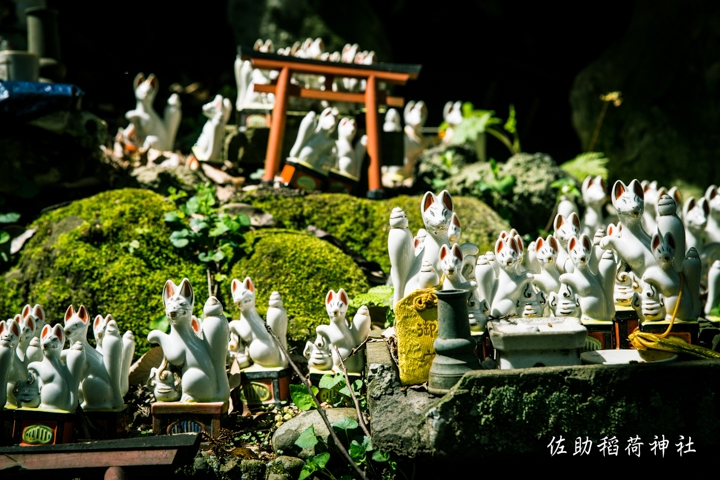 ｛分享｝鎌倉古寺神社探訪