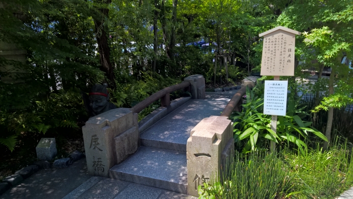 Lumia 1520 日本行照片分享