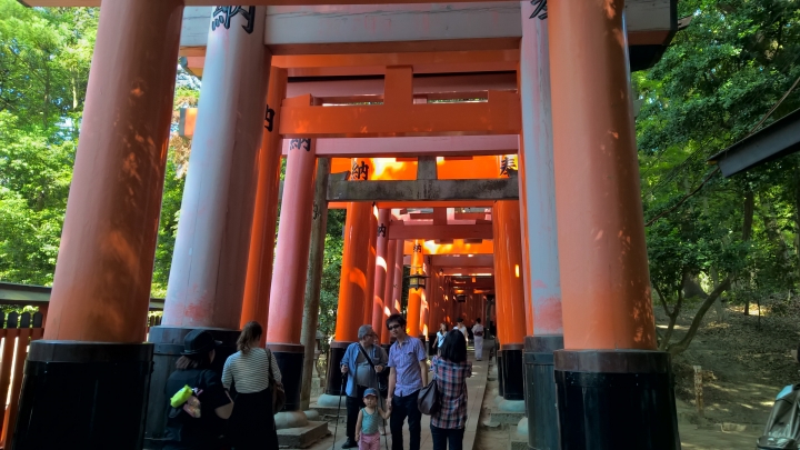 Lumia 1520 日本行照片分享