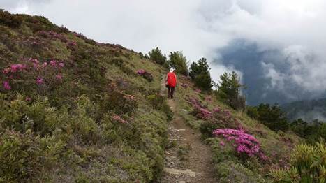 山上初登場：與武陵四秀的大山對話（下）