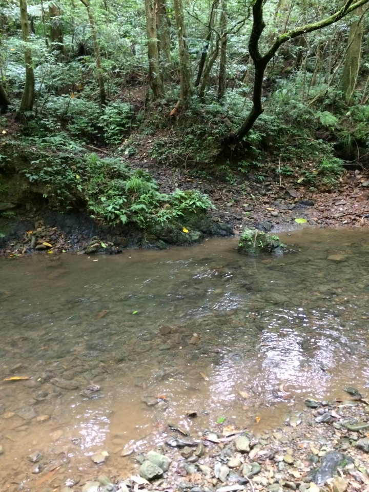 小折又offroad了!! 雙溪坪溪古道-太和山步道-石空古道-外澳