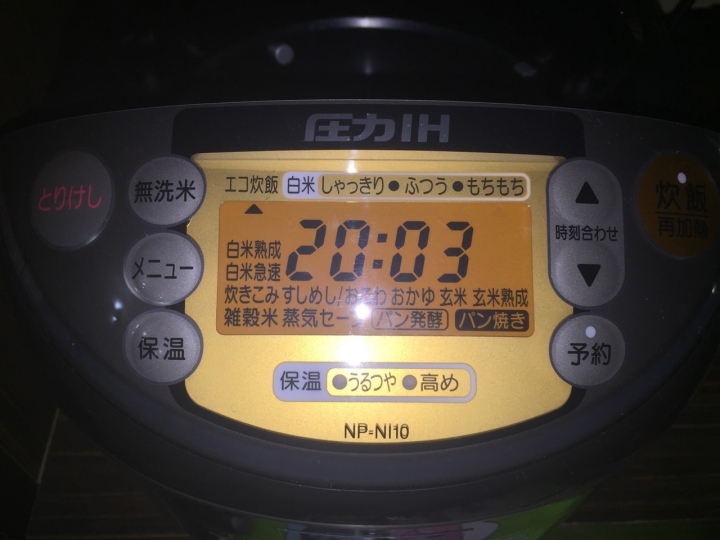跪詢日本電子鍋NPNI 10