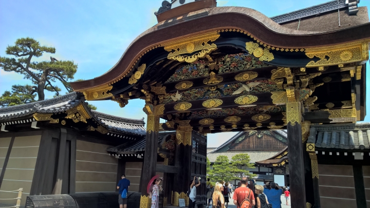 Lumia 1520 日本行照片分享