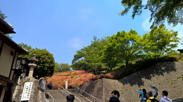 Lumia 1520 日本行照片分享