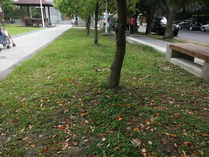 台中的公園vs台北的公園
