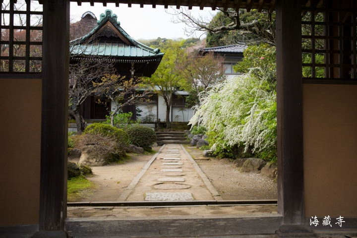 ｛分享｝鎌倉古寺神社探訪