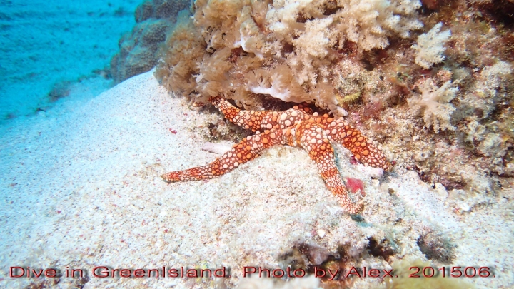 Dive in GreenIsland. 201506.