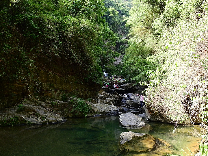 帶著Nikon P900去旅遊：迷霧森林、18度C、熊大庄、涼山瀑布、鳥松濕地及高通通農民市集，P900記錄精彩。