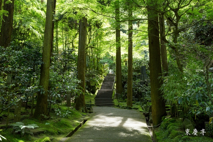 ｛分享｝鎌倉古寺神社探訪