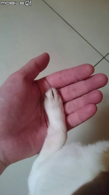 不離不棄，是我兄弟！