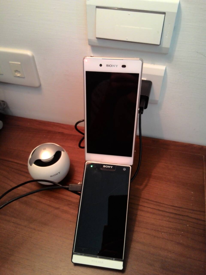 Z3+(白)稀有動物開箱...
