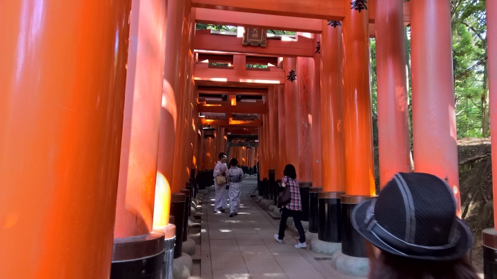 Lumia 1520 日本行照片分享
