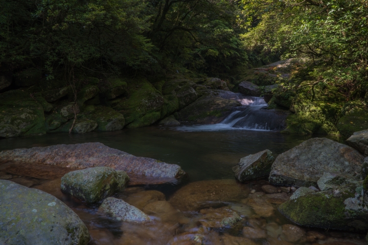 Sony A7S 拍攝影片