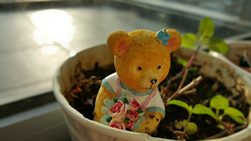 Xperia Z3+與S6 Edge在夏日拍。照。對。決 Oh~Summer~♪