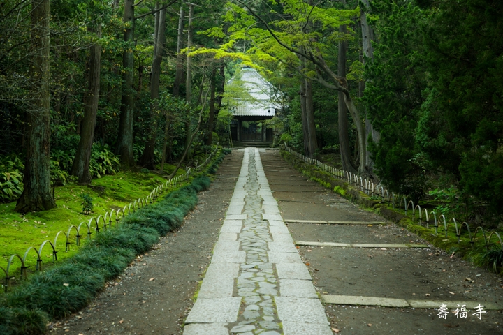 ｛分享｝鎌倉古寺神社探訪