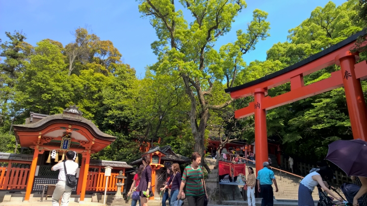 Lumia 1520 日本行照片分享