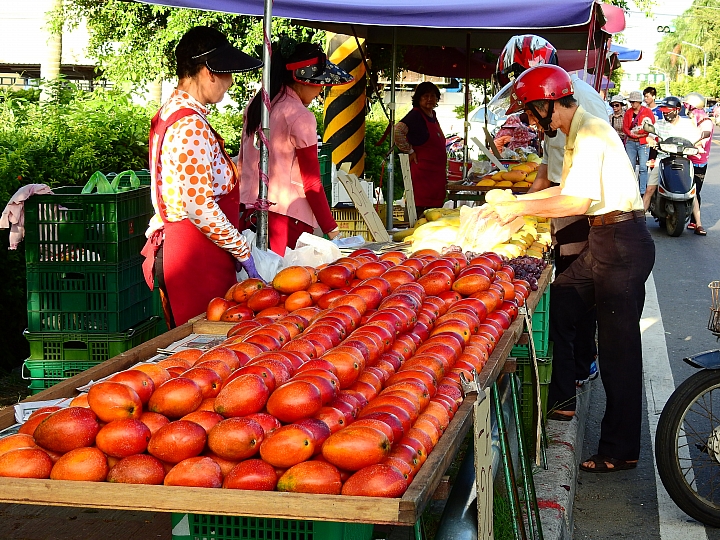 帶著Nikon P900去旅遊：迷霧森林、18度C、熊大庄、涼山瀑布、鳥松濕地及高通通農民市集，P900記錄精彩。