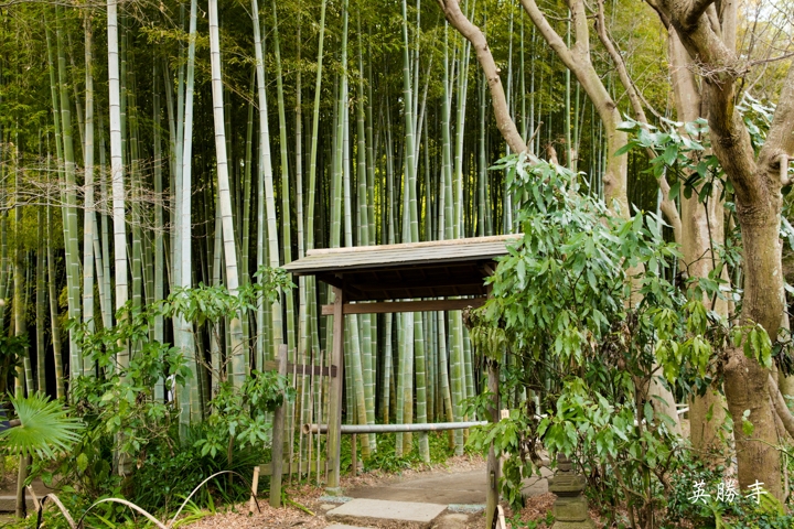 ｛分享｝鎌倉古寺神社探訪