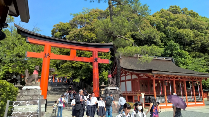 Lumia 1520 日本行照片分享