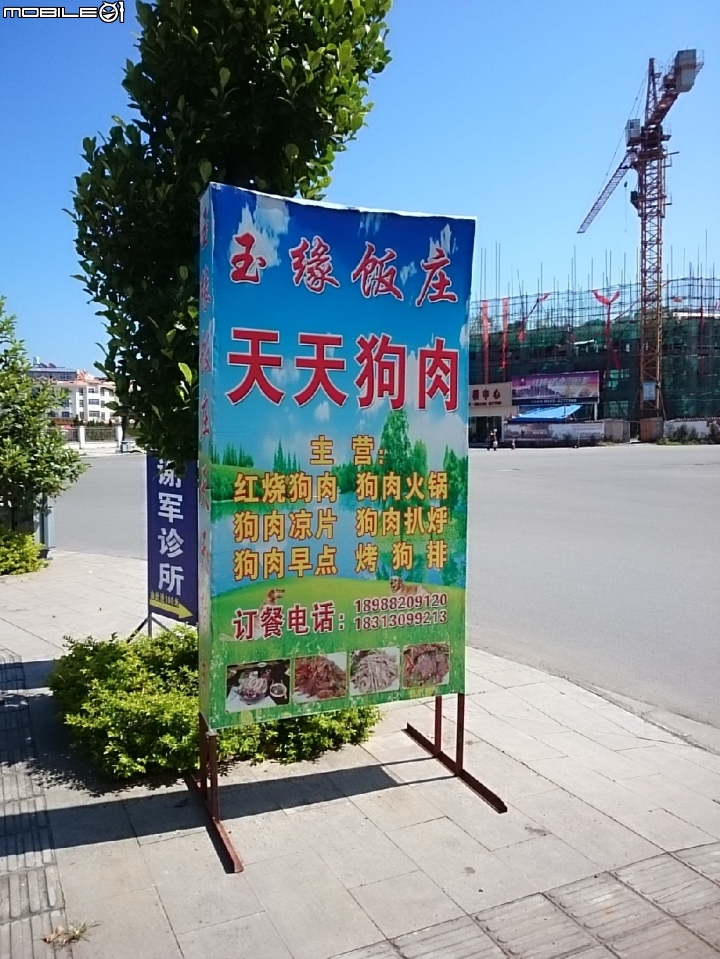 [開箱]追尋點石成金的傳說三-我跑到雲南來了(雲南標場開標)！