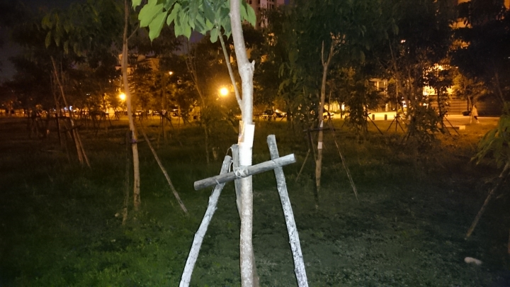 請問Z3夜間開閃光會偏紫白霧霧的是甚麼原因?