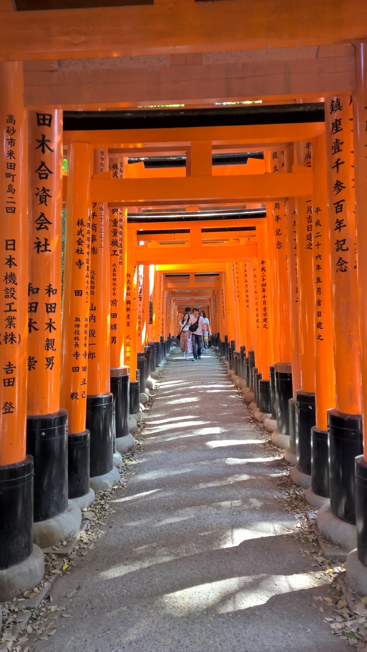 Lumia 1520 日本行照片分享