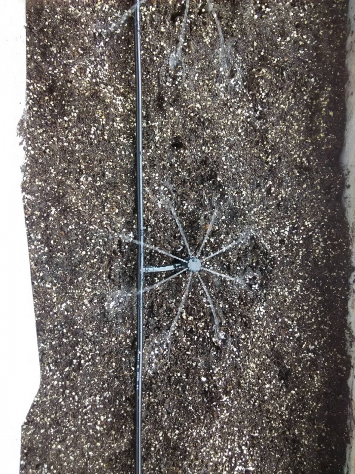 水泥底花圃底部排水實作(6/21更新自動灑水裝置)