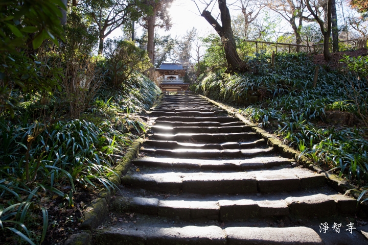｛分享｝鎌倉古寺神社探訪