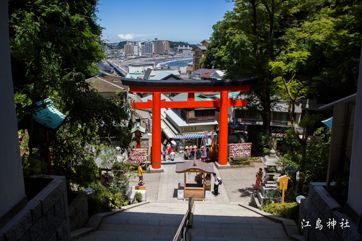 ｛分享｝鎌倉古寺神社探訪