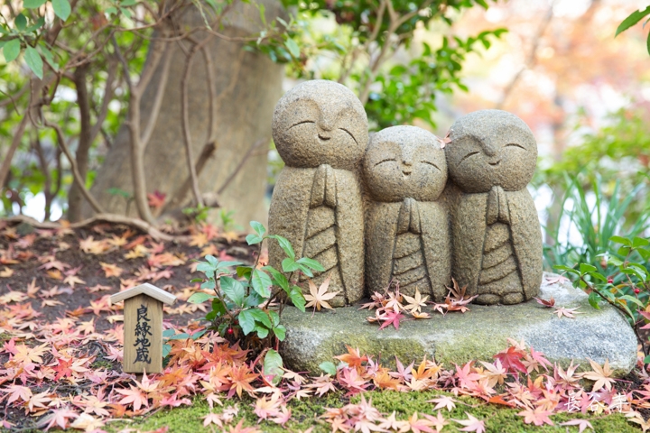 ｛分享｝鎌倉古寺神社探訪