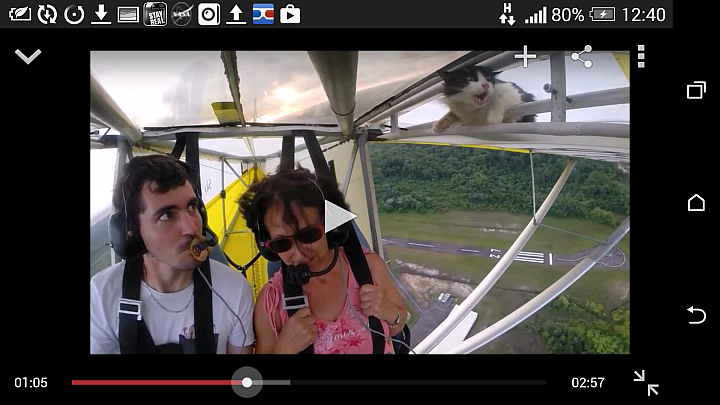 Remove Cat before Flight 飛天貓影片三天破千萬瘋傳
