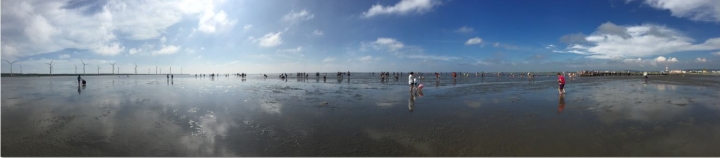 2015  Fiesta1.0 試駕