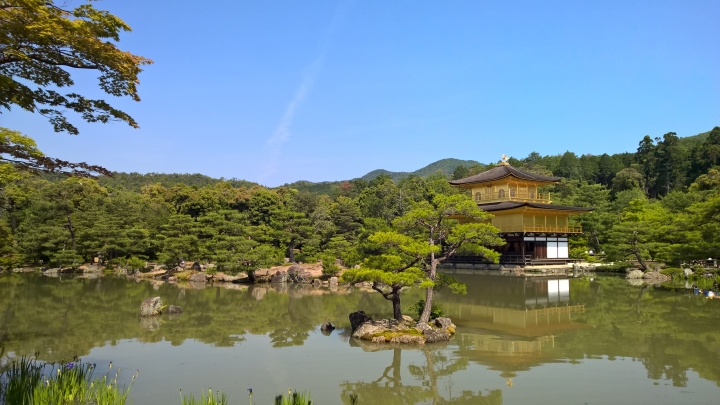 Lumia 1520 日本行照片分享