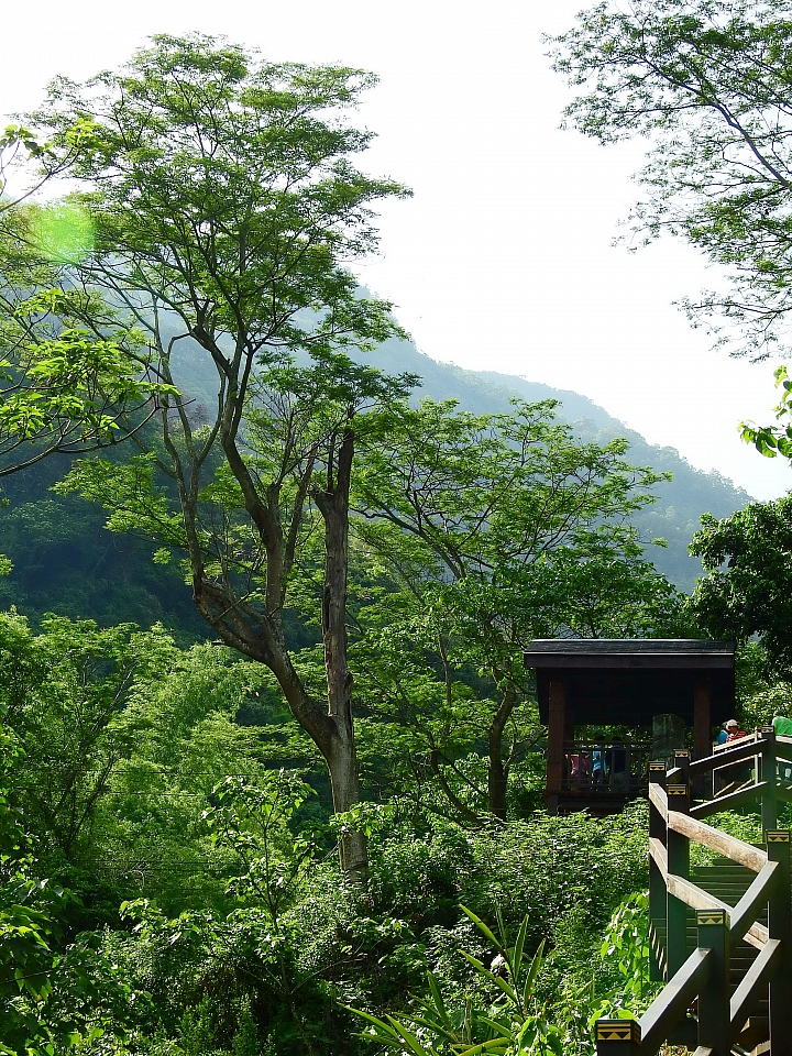 帶著Nikon P900去旅遊：迷霧森林、18度C、熊大庄、涼山瀑布、鳥松濕地及高通通農民市集，P900記錄精彩。
