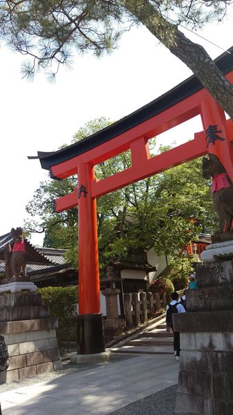 京阪自由行-是千本鳥居不是千本櫻啦XD