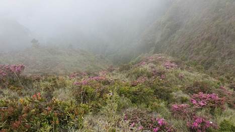 山上初登場：與武陵四秀的大山對話（下）