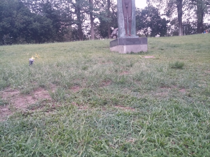 台中的公園vs台北的公園