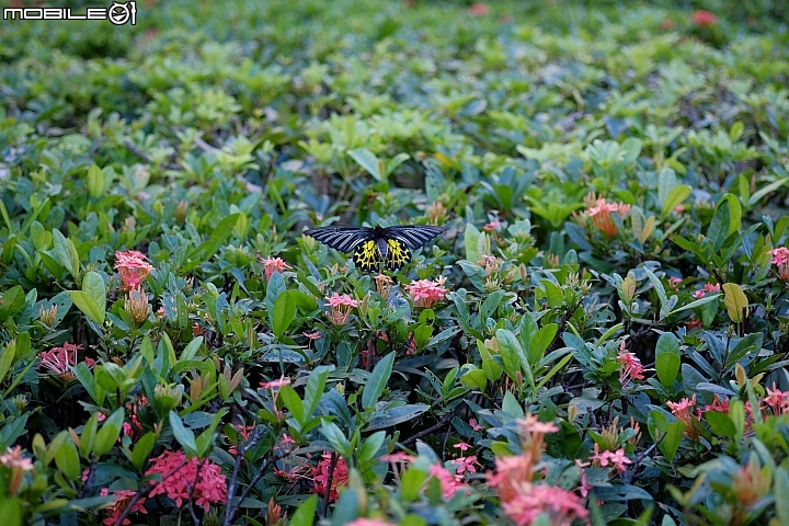 X-T10 蓋小樓，拍得開心、拍得捨意！