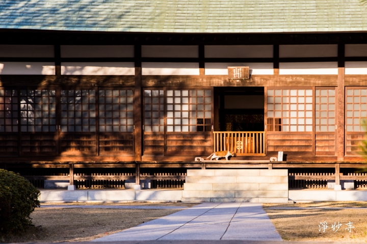 ｛分享｝鎌倉古寺神社探訪