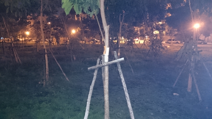 請問Z3夜間開閃光會偏紫白霧霧的是甚麼原因?