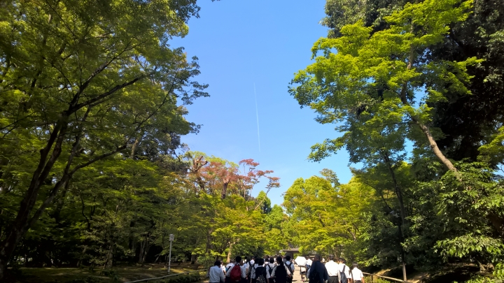 Lumia 1520 日本行照片分享