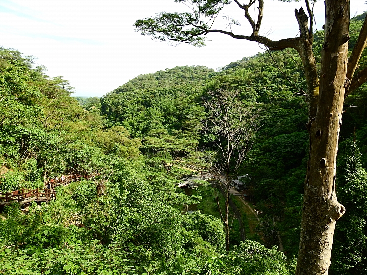 帶著Nikon P900去旅遊：迷霧森林、18度C、熊大庄、涼山瀑布、鳥松濕地及高通通農民市集，P900記錄精彩。