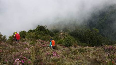 山上初登場：與武陵四秀的大山對話（下）