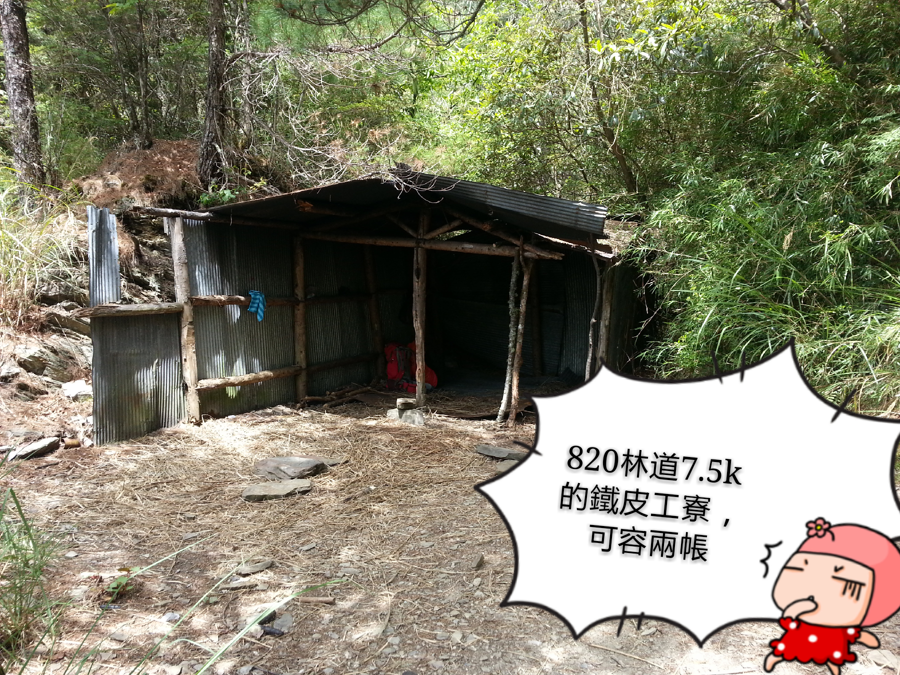 好陡之....畢祿山3371m